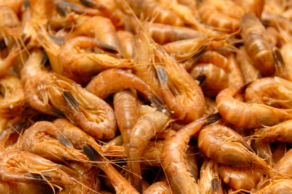 Smoked North Sea shrimp with really great taste