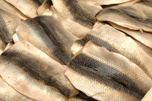 Herring fillets